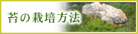 苔の栽培方法