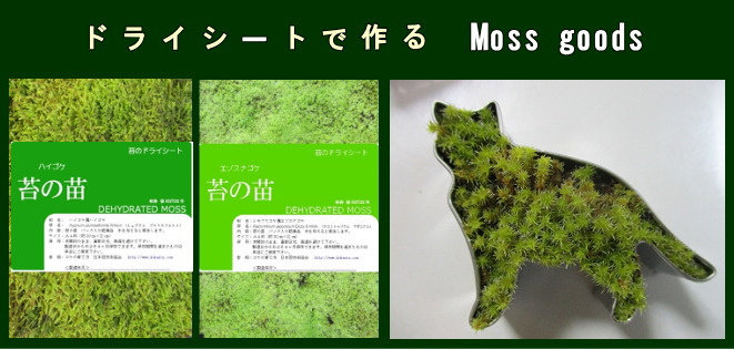 02_moss%20goods_1.jpg