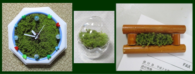 02_moss%20goods_3.jpg