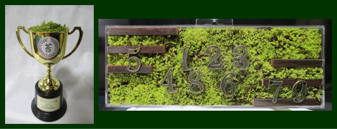 02_moss%20goods_4.jpg