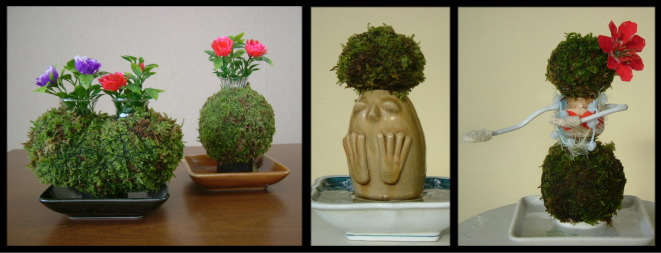 12%20kokedama1.jpg