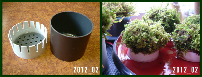 21%20kokedama1.jpg