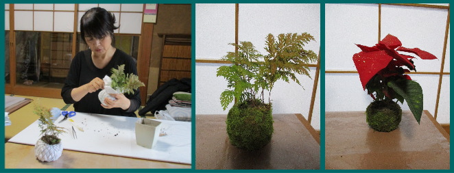 27%20kokedama2.jpg